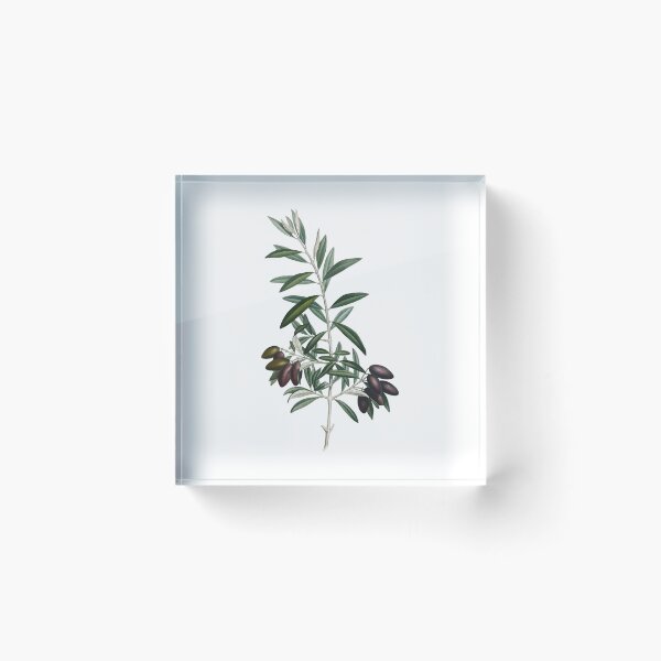 Item preview, Olive | Mediterranean | Olives spain | Wedding | Wedding olive | Decoration | Flowers designed and sold by WeddingStuffArt.