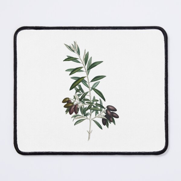 Item preview, Olive | Mediterranean | Olives spain | Wedding | Wedding olive | Decoration | Flowers designed and sold by WeddingStuffArt.