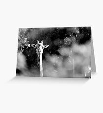 portrait of giraffe Greeting Card