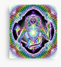 Gifts of Nature Canvas Print