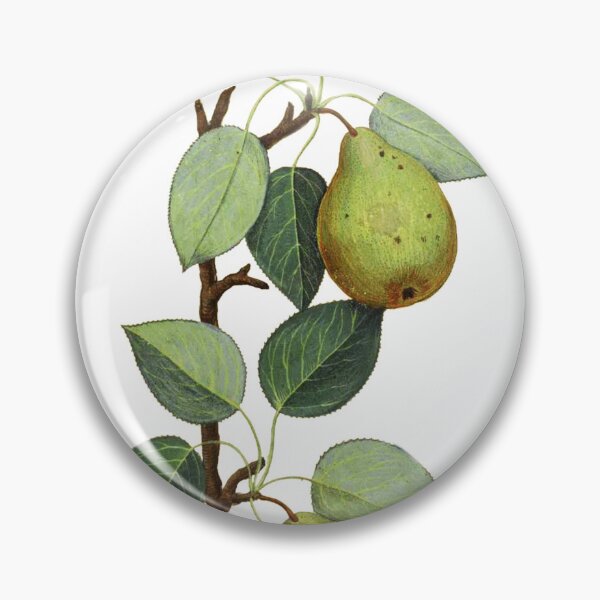 Item preview, illustration | Wedding | Wedding pears | Pear's | fruits | Decoration | wedding decor | Floral designed and sold by WeddingStuffArt.
