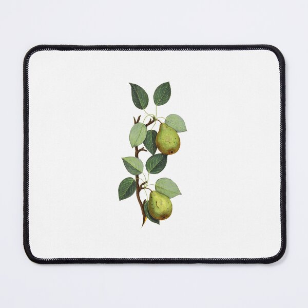 Item preview, illustration | Wedding | Wedding pears | Pear's | fruits | Decoration | wedding decor | Floral designed and sold by WeddingStuffArt.