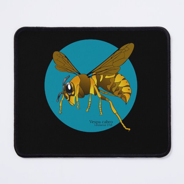 Item preview, European Hornet designed and sold by robpritchard.