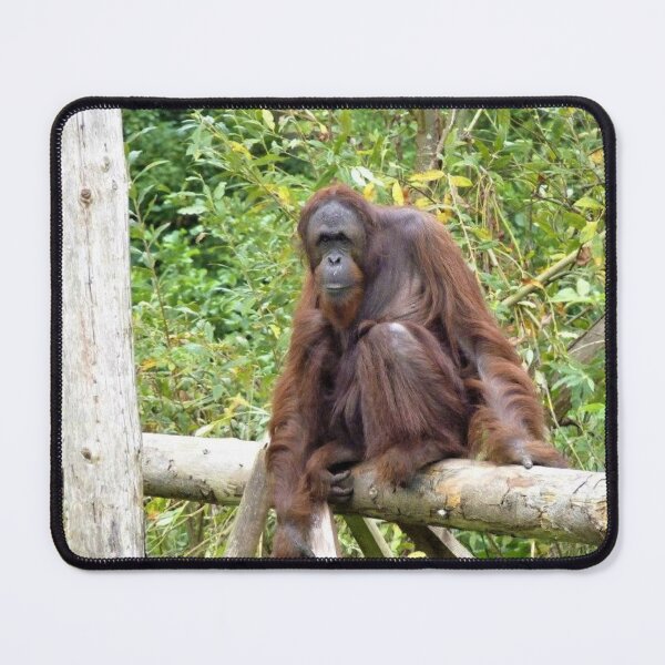Item preview, Orangutan Hangout designed and sold by Fearless-Fox.