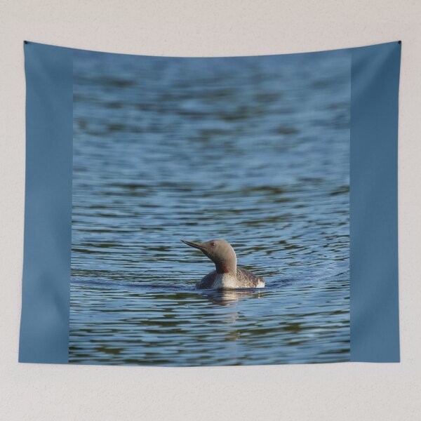 Item preview, Vertical blue. Red-throated loon designed and sold by Jouko Lehto Photography.