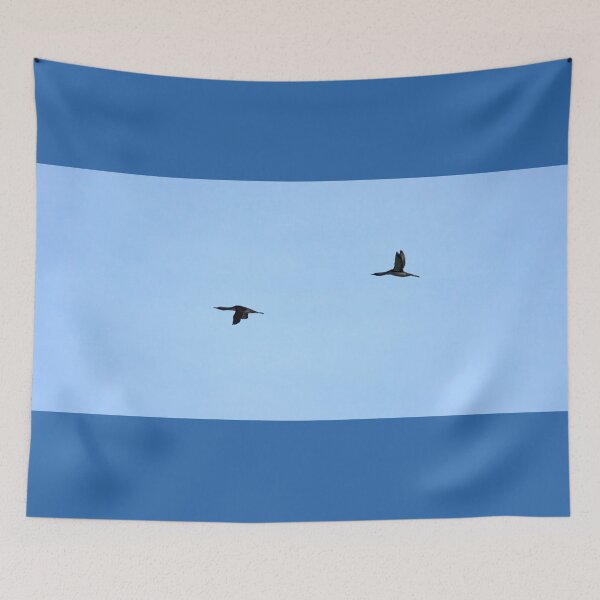 Item preview, Red-throated loon double designed and sold by Jouko Lehto Photography.