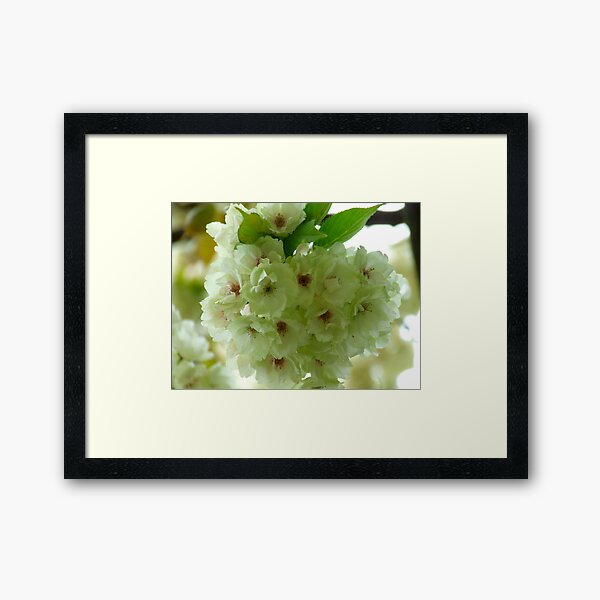Item preview, Full in bloom designed and sold by TriciaDanby.
