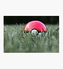 Pokeball in Grass Photographic Print