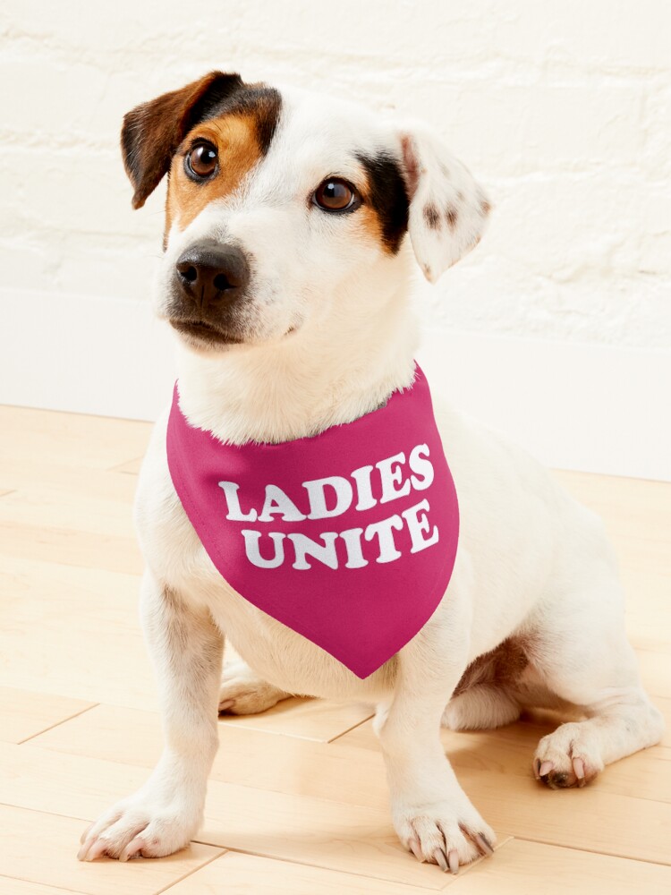 Ladies Unite Feminist Quote Pet Bandana for Sale by quarantine81