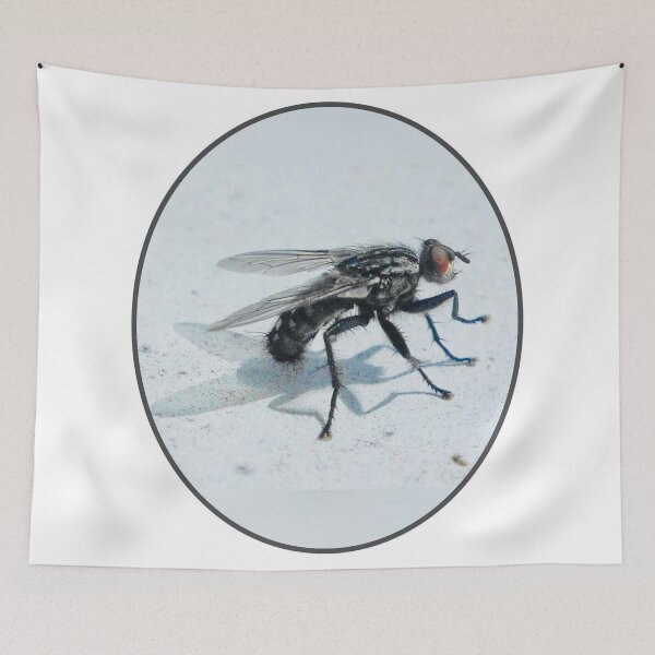 Artikelvorschau, The Macro-Fly entworfen und verkauft von AnnabellaRh.