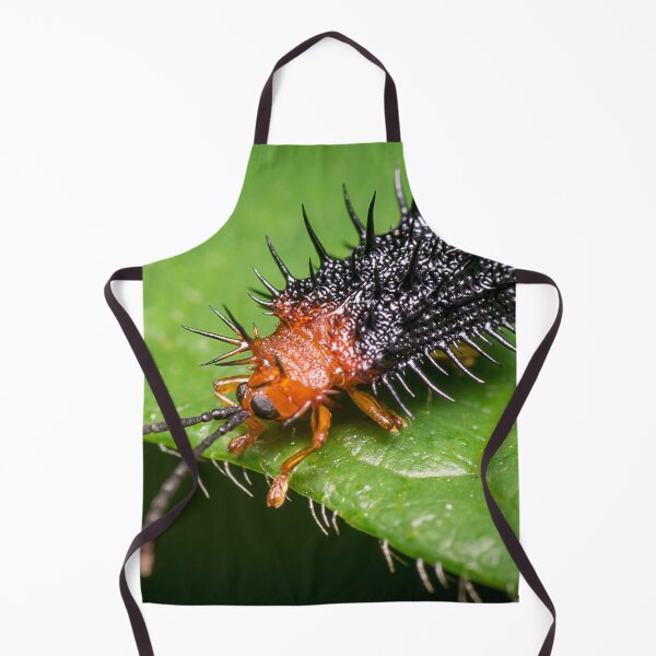 Item preview, Unique and organic photo of a spiny leaf beetle designed and sold by AvonPerception.
