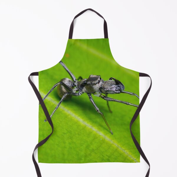 Item preview, Unique and organic photo of an ant mimic spider designed and sold by AvonPerception.