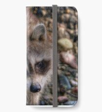 The Masked Bandit iPhone Wallet/Case/Skin