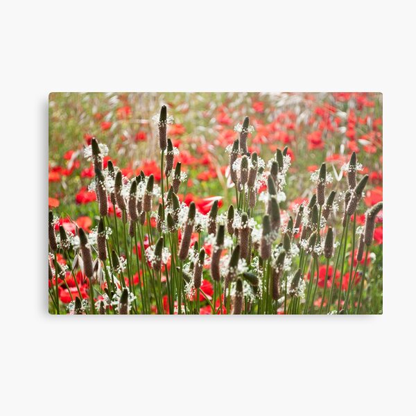 Floral towers Metal Print