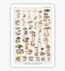 Mushrooms Sticker