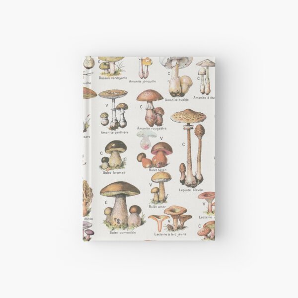 Mushrooms Hardcover Journal