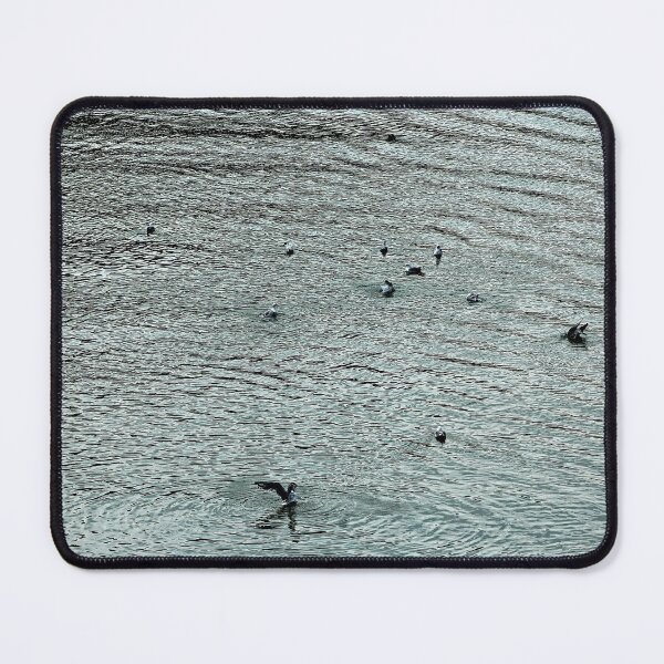 Item preview, Seagulls Swimming Tiber River  designed and sold by Anna Lemos.