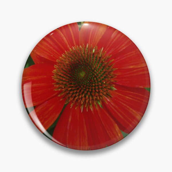 Item preview, Orange Daisy designed and sold by Shulie1.