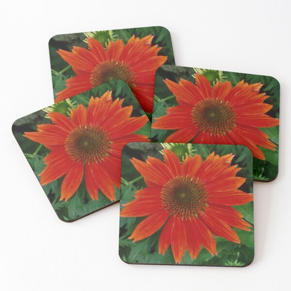 Item preview, Orange Daisy designed and sold by Shulie1.
