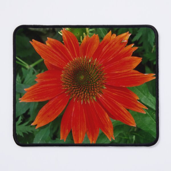 Item preview, Orange Daisy designed and sold by Shulie1.
