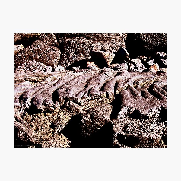 Photographic Print