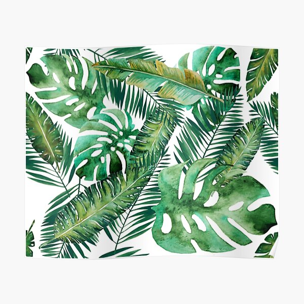 Monstera Banana Palm Leaf Poster