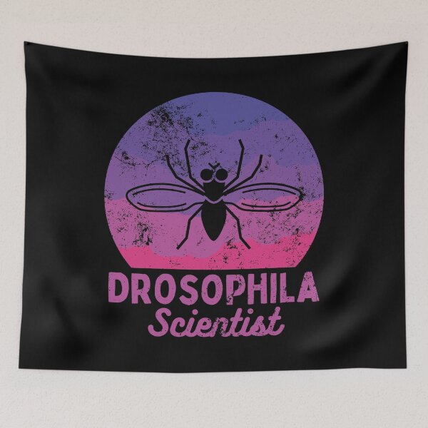 Item preview, Drosophila, fruit fly scientist, biology, vintage designed and sold by TheCellDesigns.