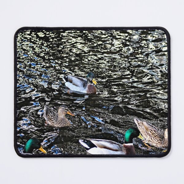 Item preview, Mallard Ducks Swimming Waterfowl Lake designed and sold by Anna Lemos.