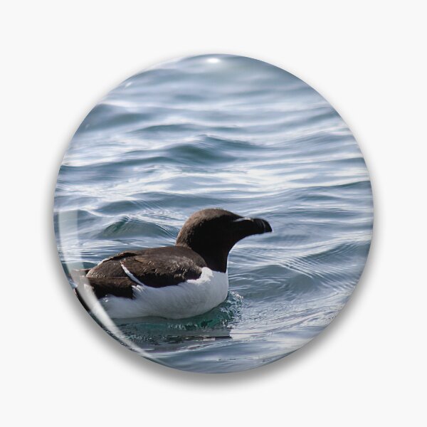 Item preview, Razorbill out at sea designed and sold by HazelWright.