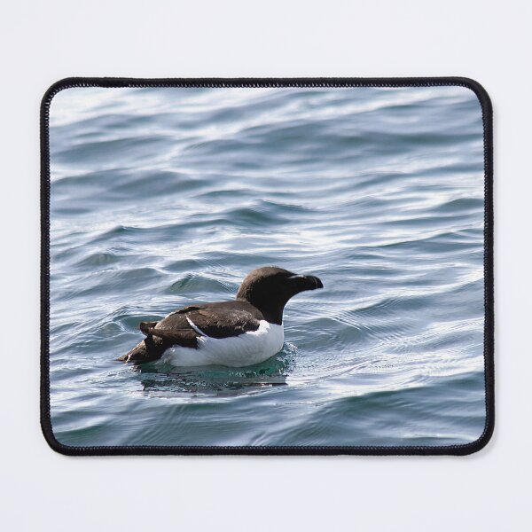 Item preview, Razorbill out at sea designed and sold by HazelWright.