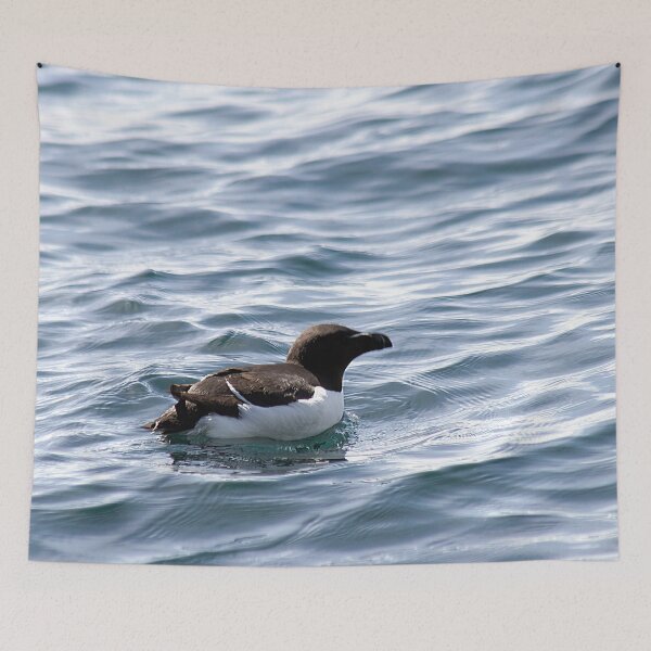Item preview, Razorbill out at sea designed and sold by HazelWright.