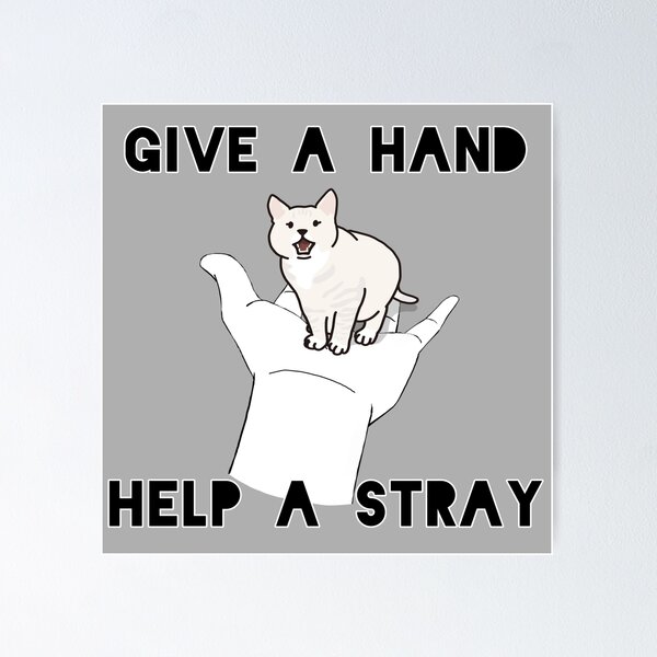 Stray: así puedes solicitar tu reembolso por el juego del gatito