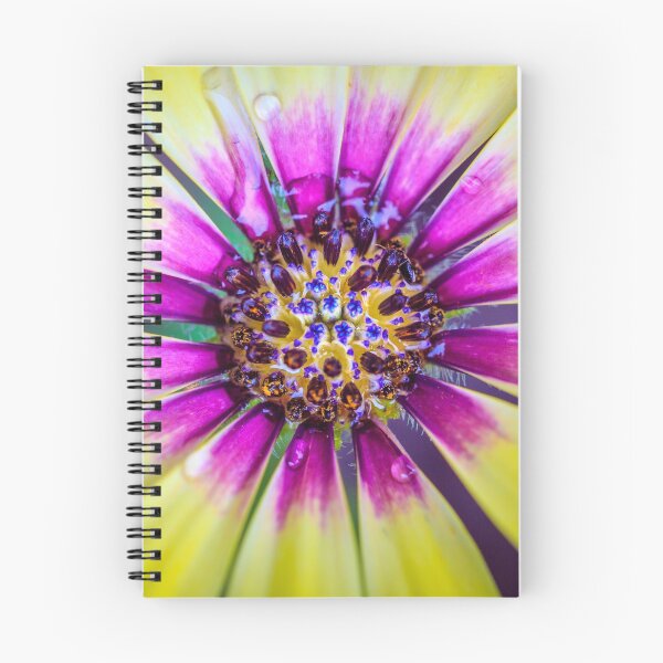 Item preview, Osteospermum designed and sold by alan shapiro.