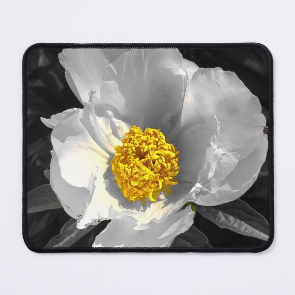 Item preview, Vibrance designed and sold by Eric Rasmussen.