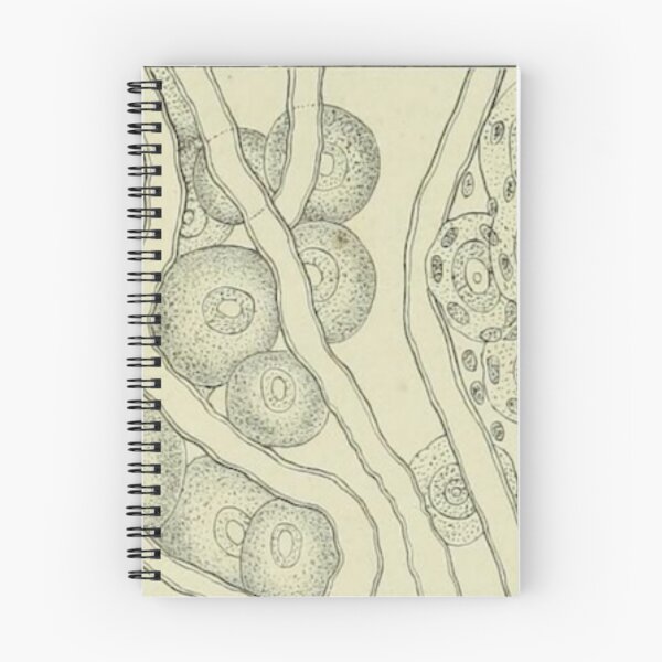 Item preview, Nerve Cell Biology designed and sold by BlueSpecsStudio.