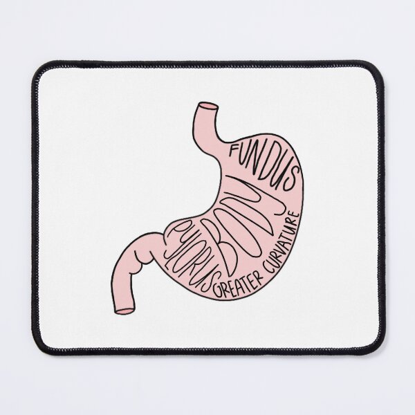 Item preview, Labeled Stomach designed and sold by princesssomo21.
