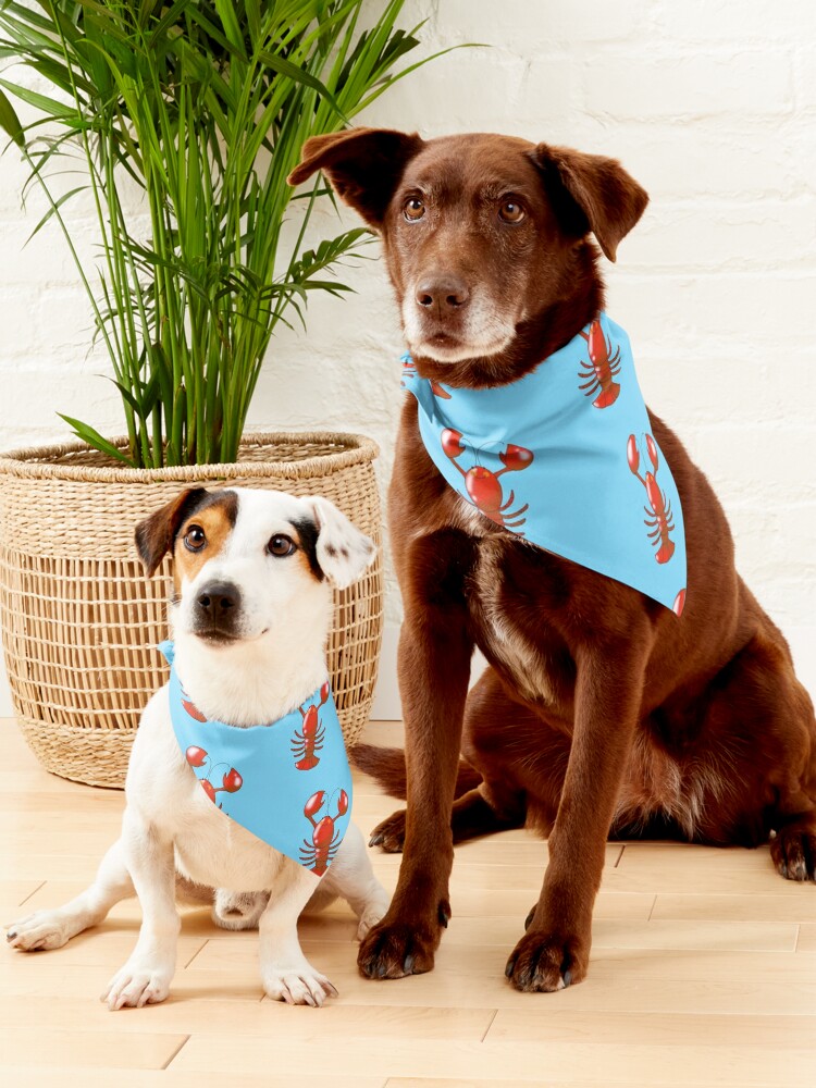 Lobster on sale dog bandana