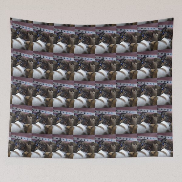 Item preview, Leonardos brother 3 weeks old designed and sold by Zarabeaver.