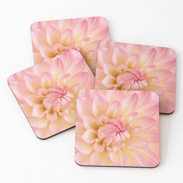 Item preview, Close-up of a pretty pink Dahlia designed and sold by plumspixellove.