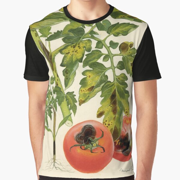 Early Blight in Tomato Graphic T-Shirt