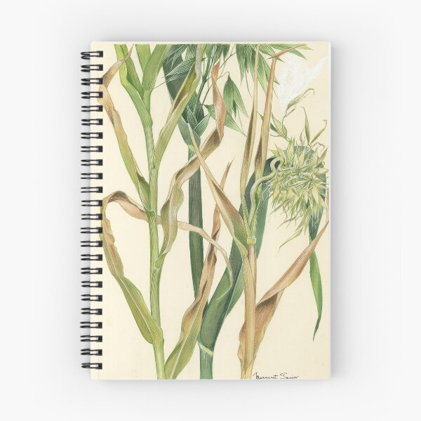 Item preview, Downy Mildew of Oats designed and sold by BiosecurityColl.