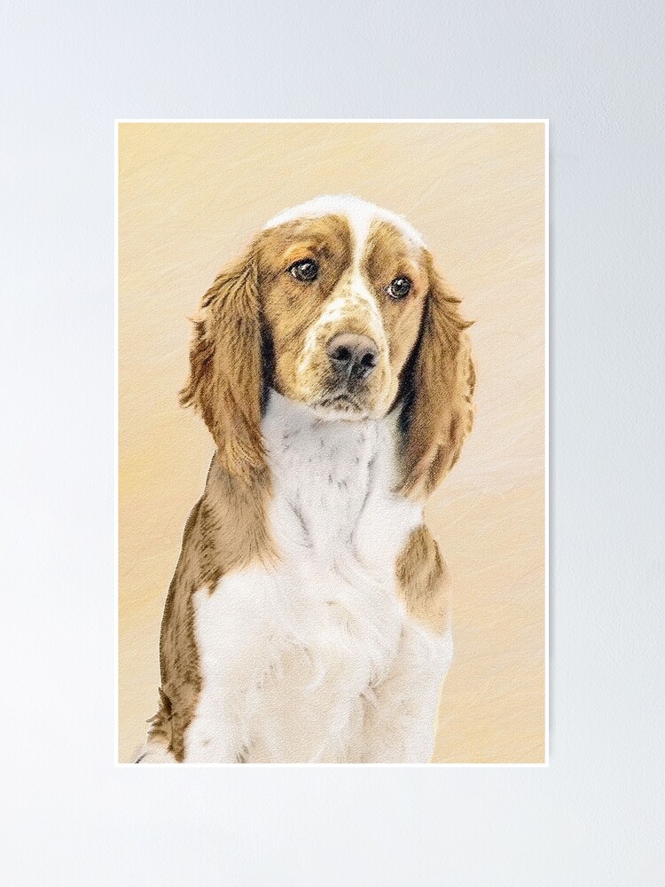 "Welsh Springer Spaniel Painting Original Dog Art" Poster for Sale by