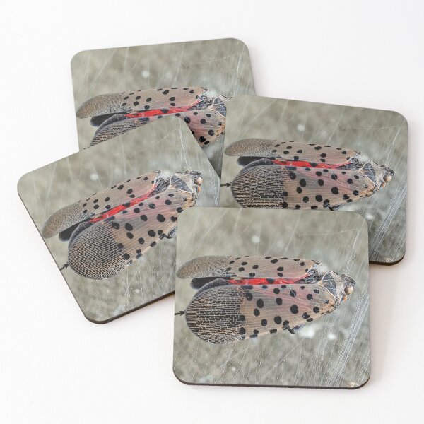 Item preview, The Unfortunate Spotted Lanternfly designed and sold by Lanis Rossi.