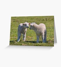 Baa baa... Greeting Card