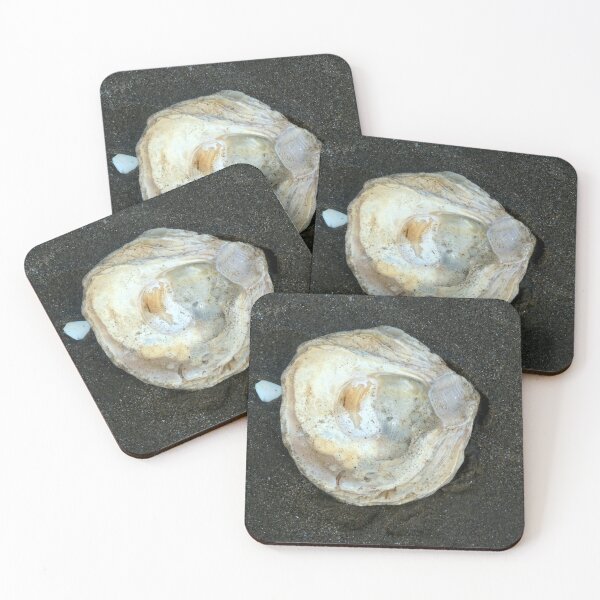 Item preview, shell designed and sold by KathleenDawson.