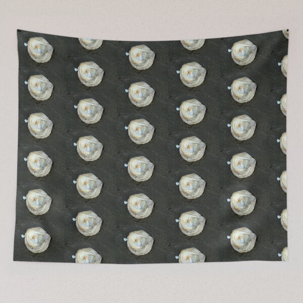 Item preview, shell designed and sold by KathleenDawson.