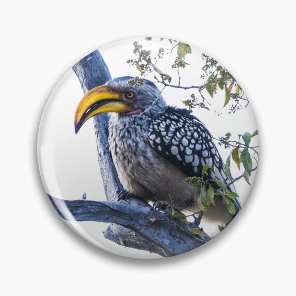 Item preview, Hornbill In Tree designed and sold by RPMouton.