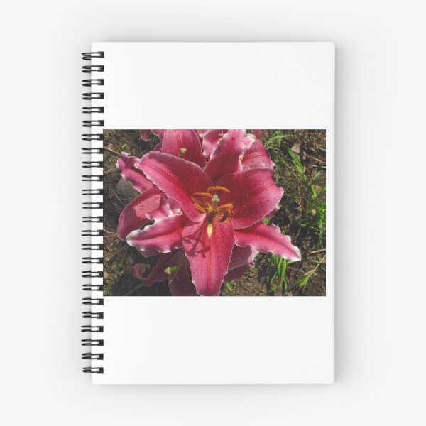 Item preview, Double Lily designed and sold by Beth Tidd.