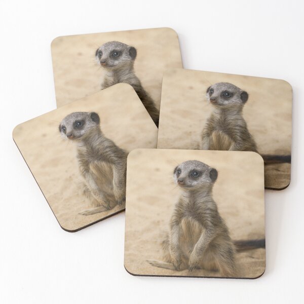 Item preview, Baby Meerkat Sitting In The Sand designed and sold by rawshutterbug.