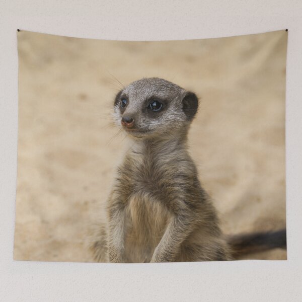 Item preview, Baby Meerkat Sitting In The Sand designed and sold by rawshutterbug.